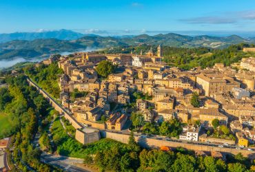 Urbino