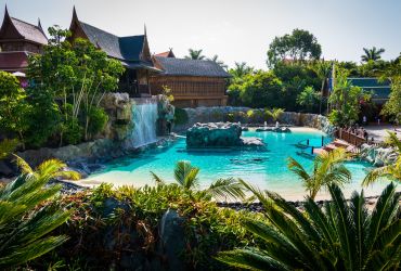 Siam parkas